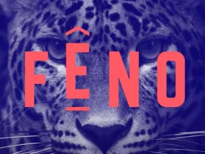 visuel FENO léopard